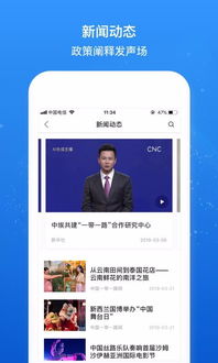 Brsn下載指南 1.0手機版與河東軟件園軟件資源解析