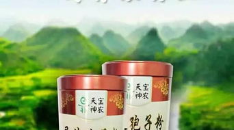 葉素牌靈芝飲 天然滋養，開啟現代養生保健新體驗